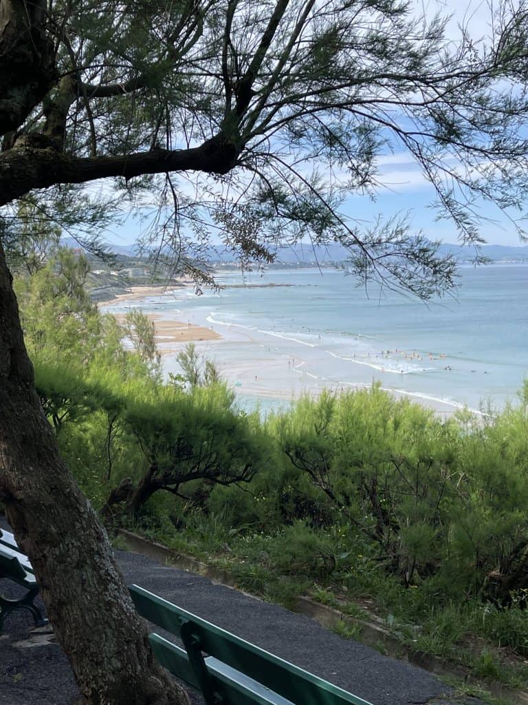 Clifftop view of Biarritz with pine tree and coastal path