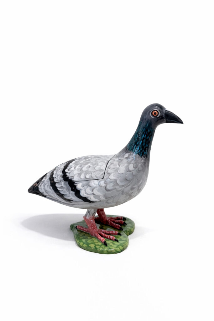 Urban Pigeon for Nothing Serious