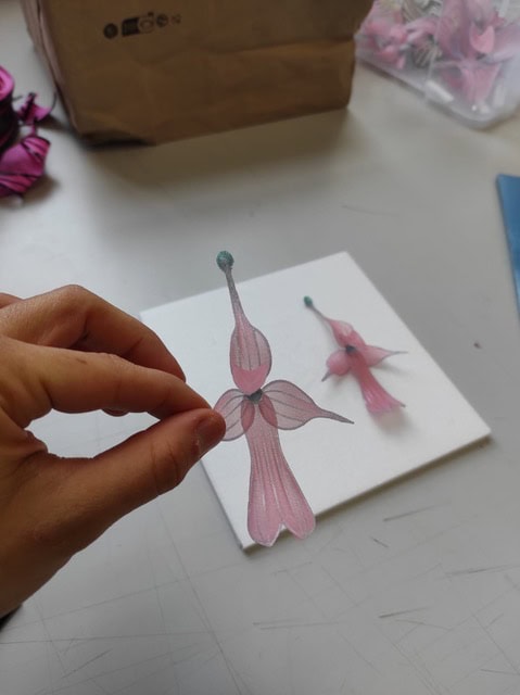 Luisa Olivera orchid used as inspiration