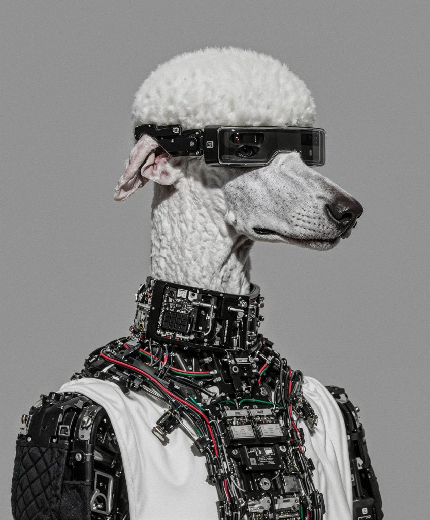 Dachshund in cyberpunk goggles and wired body armor, styled by Goo Vision using surreal digital textures