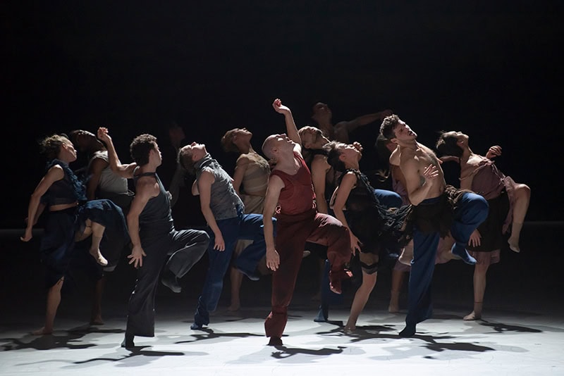 DRIFT-WOOD-Imre-et-Marne-Van-Opstal-©-Benoite-Fanton-OnP-25112803-53BF_