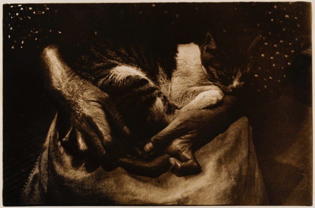 Hiroshima - Hibakusha and Cat, 1969, Vintage gelatin silver print