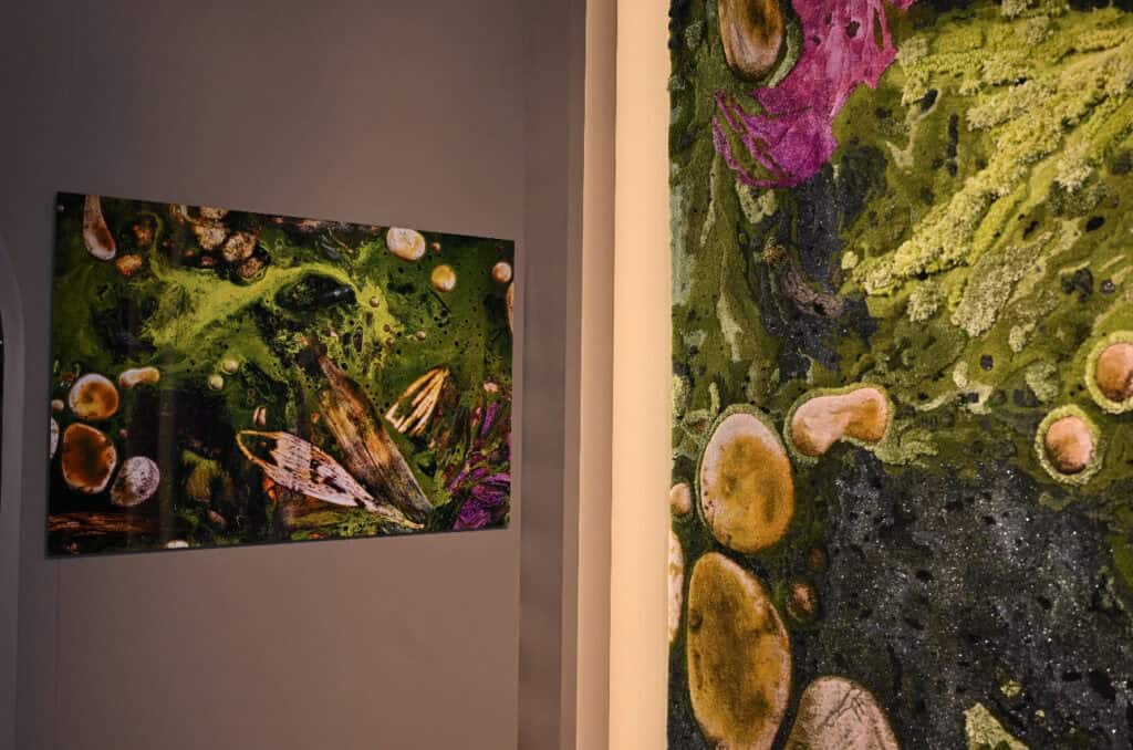 Simon Yam: Luminance in Motion