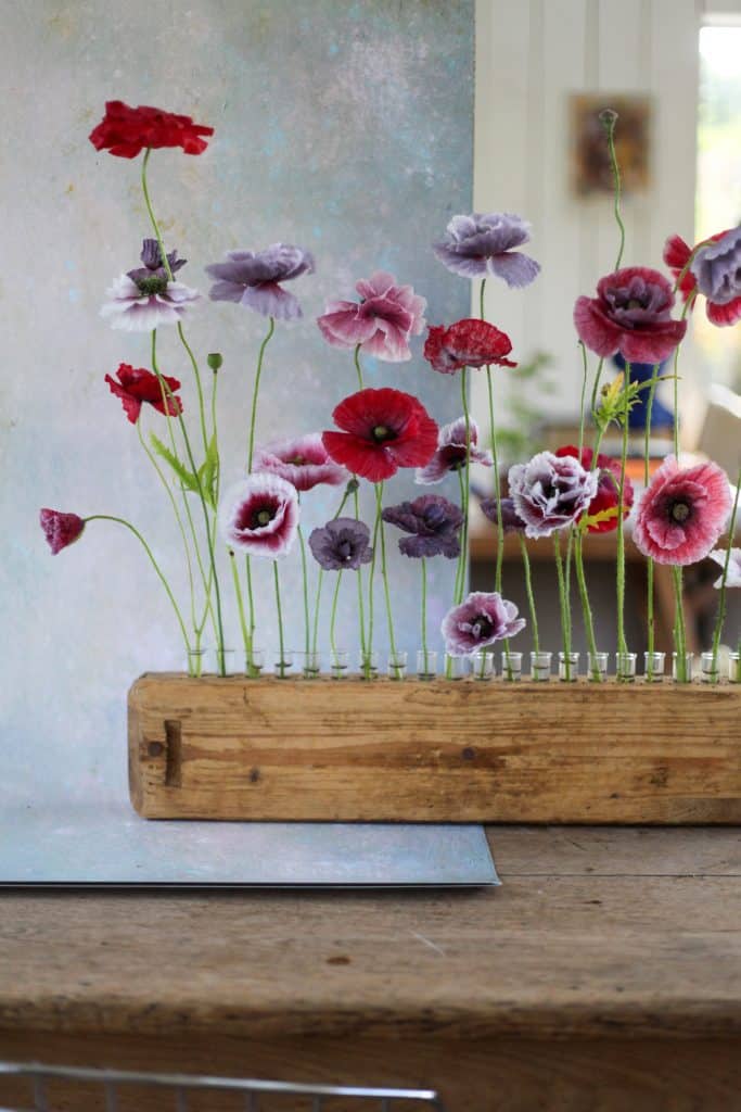 Single row of bright red, purple, and pink poppies lined up in a minimalist wooden flower holder.