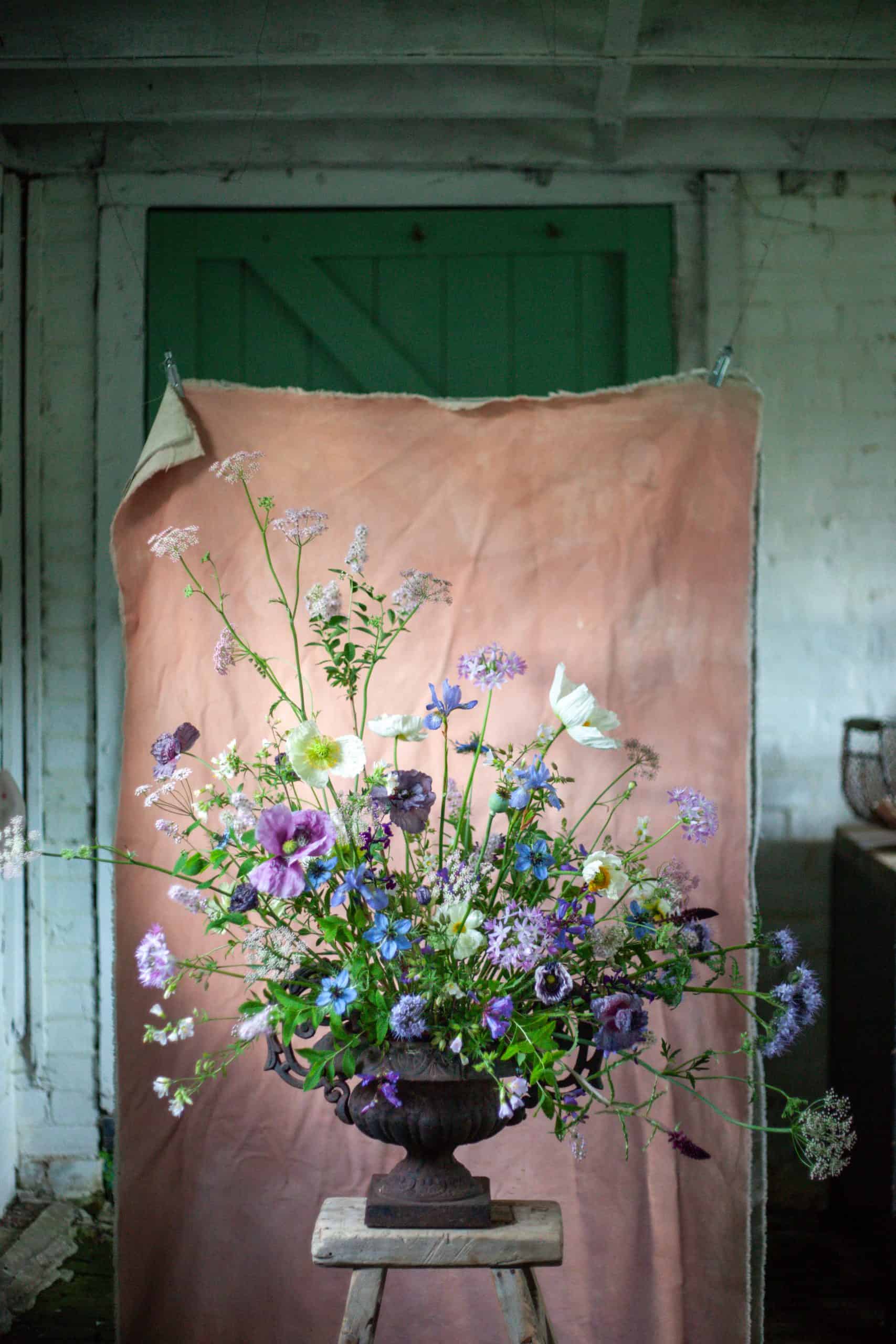 Burst of multicolored flowers spilling out from an old window ledge into a sunlit room. 