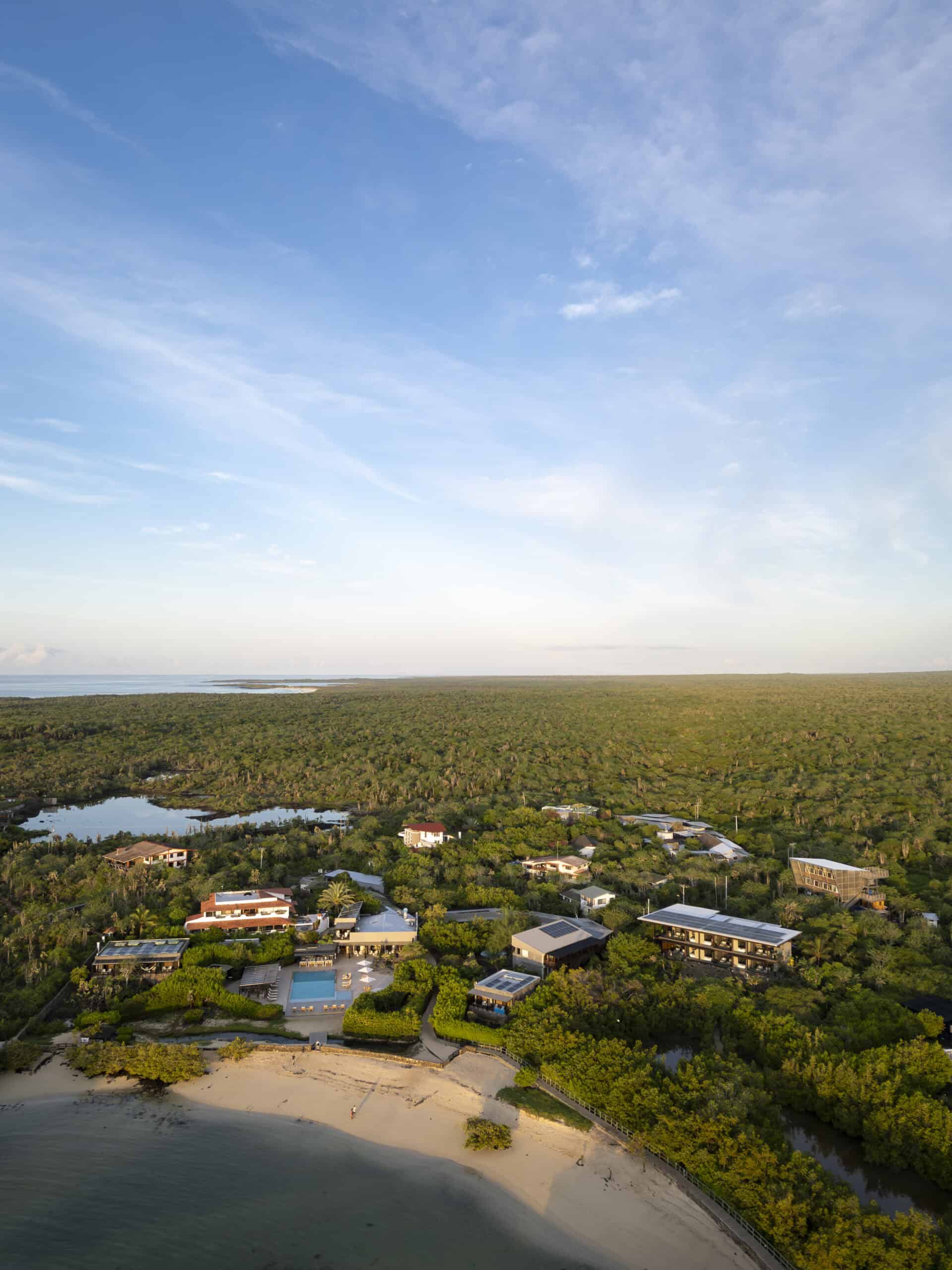 Beautiful aerial view of a coastal area featuring lush vegetation, sandy beach, and modern beachfron.