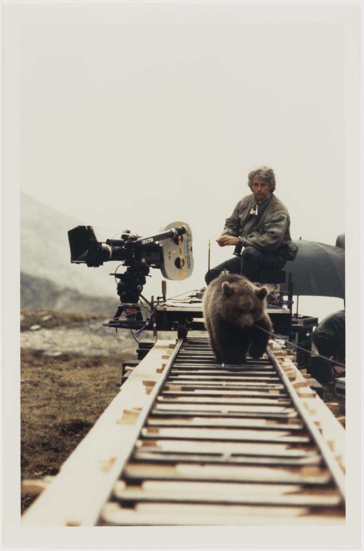 The Bear Photograph final