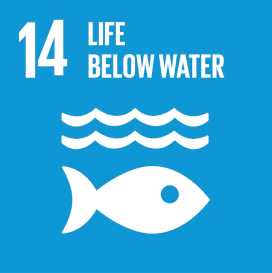 14 Life below water United Nations Global Goals