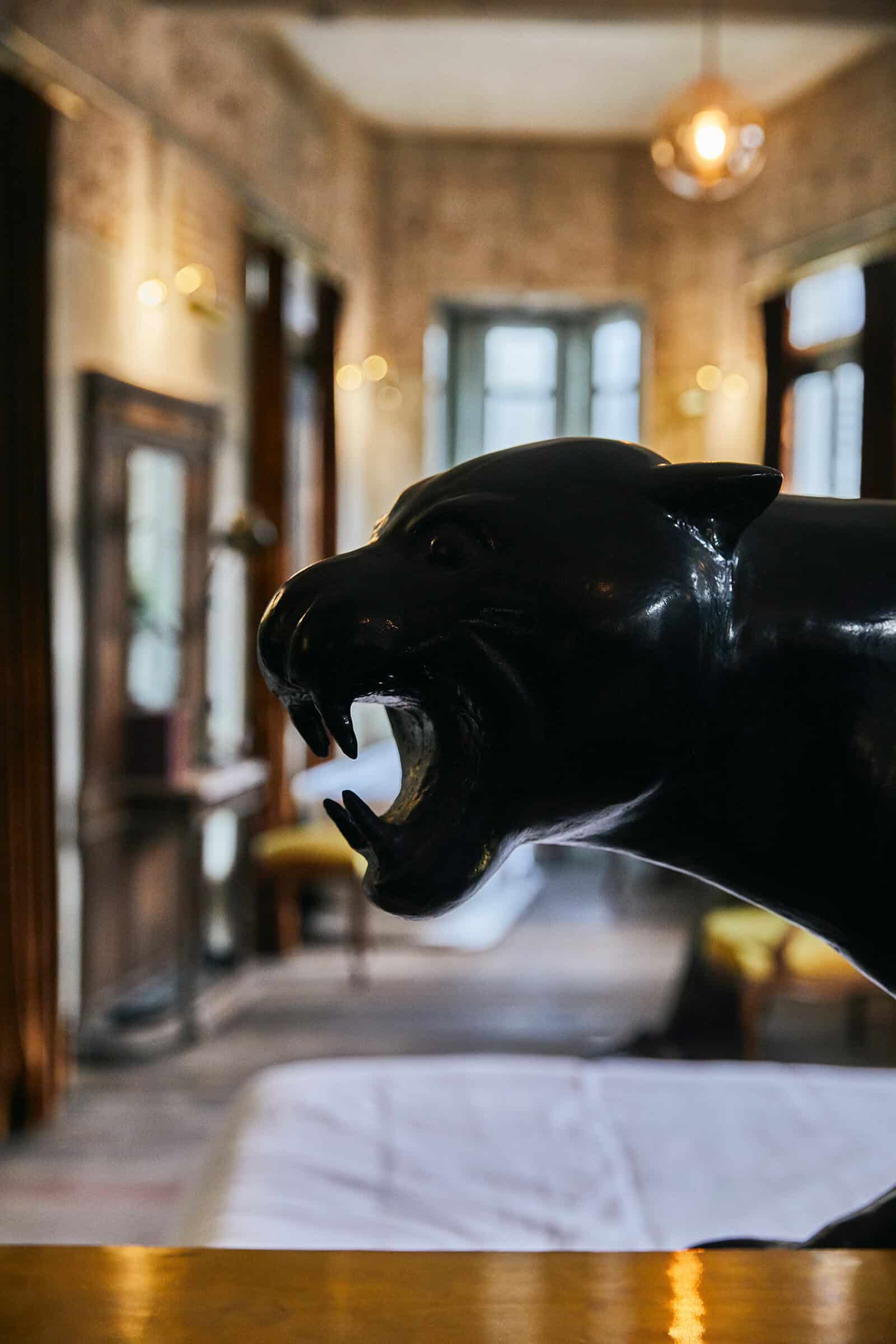 color photo black cat statue hotel bedroom interior design