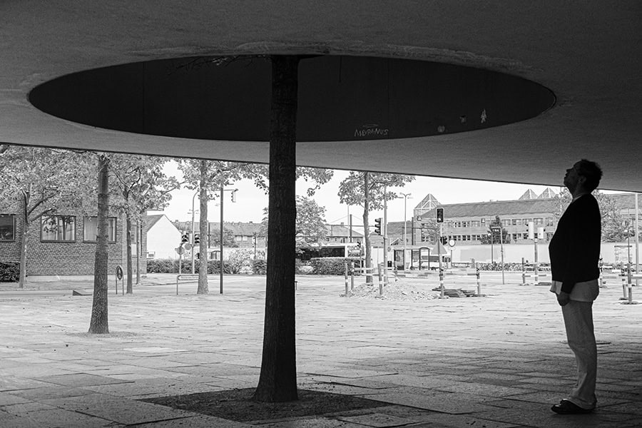 Man looking up at tree growing through a manmade hole in the building
