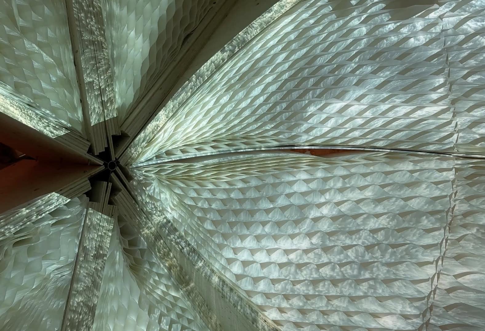 Biennale 2025
