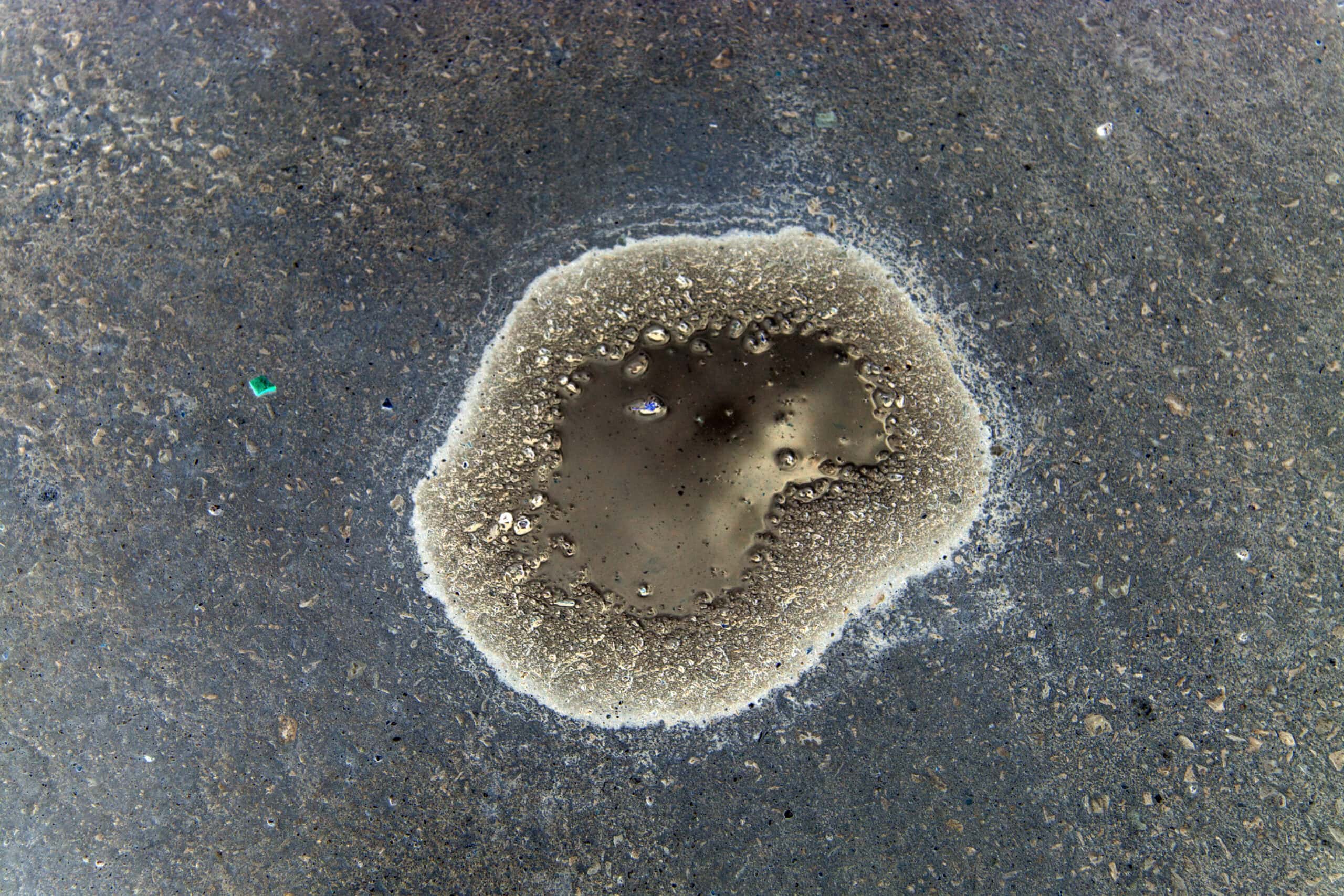 climate art award, Prix COAL 2025,