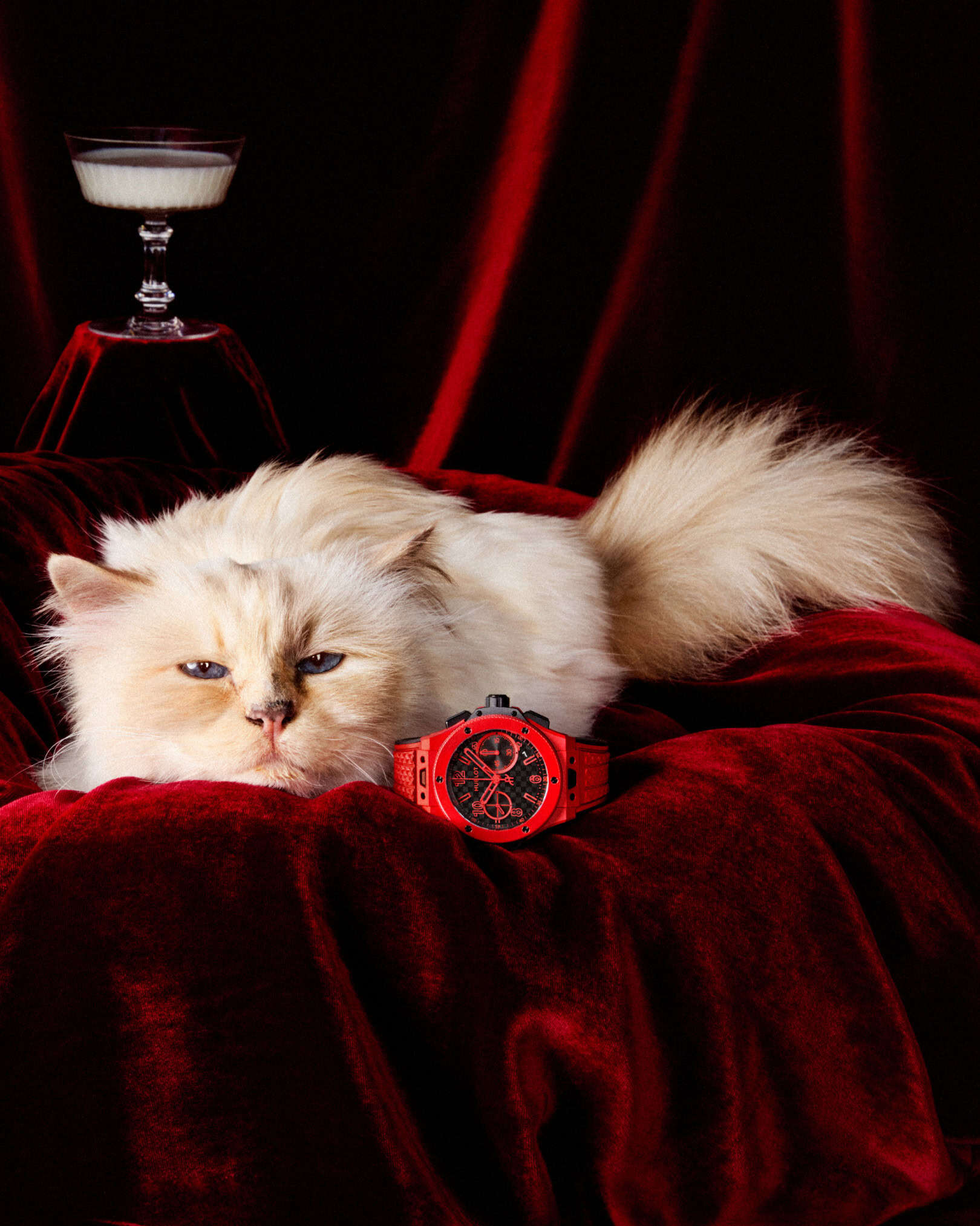 CHOUPETTE