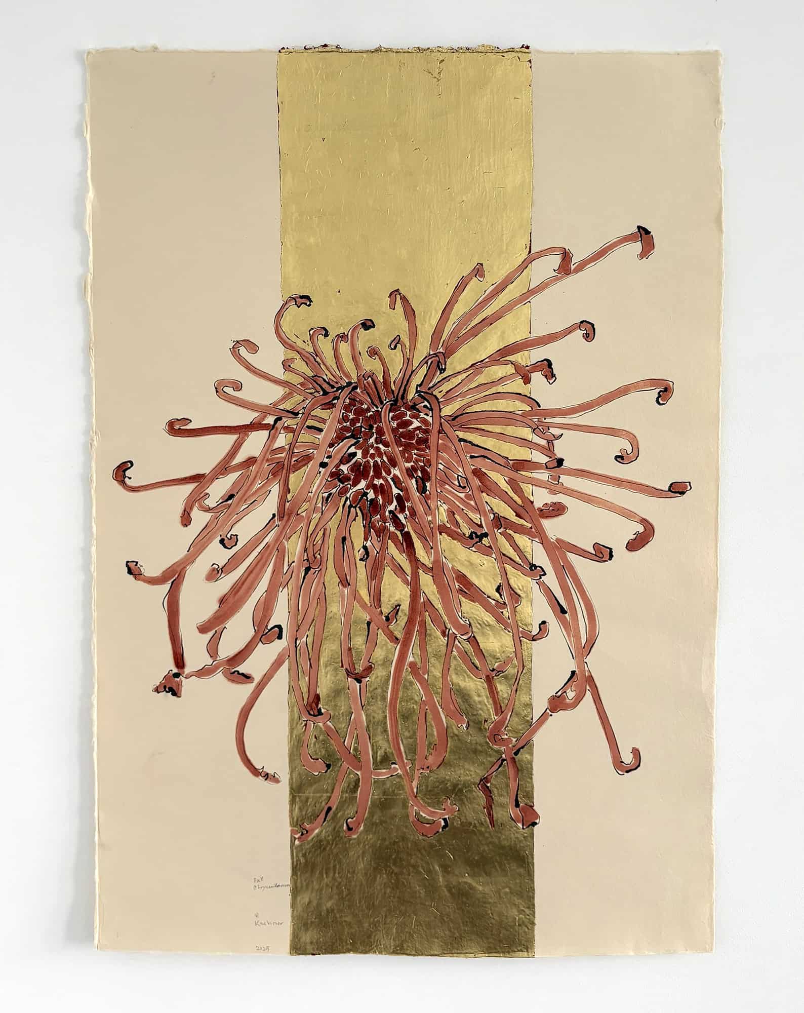 Robert KUSHNER Fall Chrysanthemum, 2025